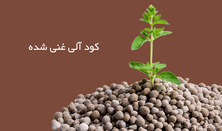 قیمت کود آلی کشاورزی درجه یک