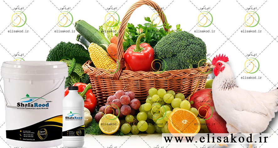 کود مرغی مایع ارزان | غنی از نیتروژن با جذب سریع برای افزایش رشد گیاه