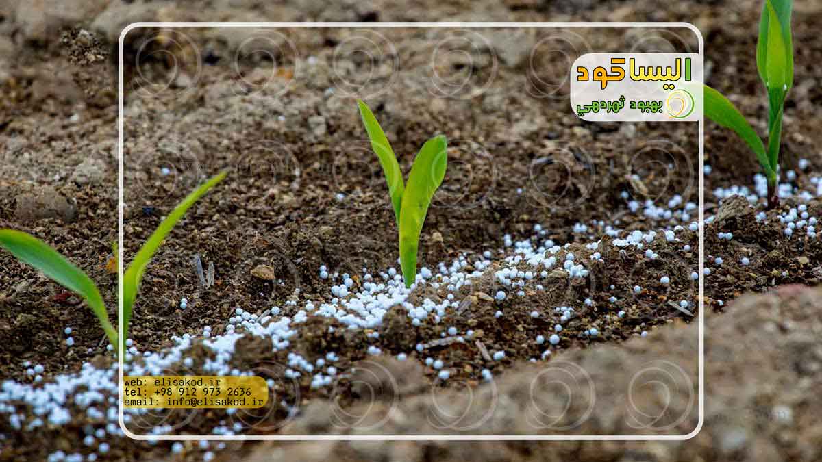 نحوه مصرف کود سولفات آمونیوم