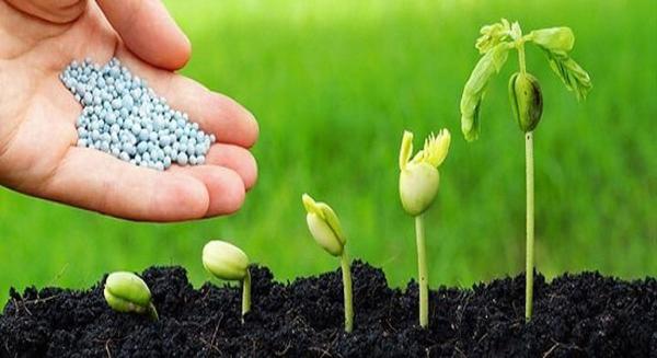 همه چیز درباره سولفات آمونیوم مایع