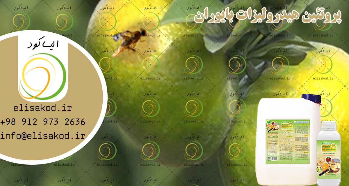پروتئین هیدرولیزات بایوران | محرک رشد ارگانیک گیاه با جذب سریع