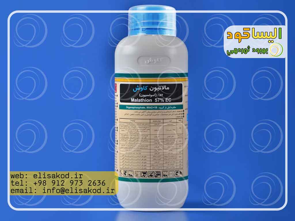 قرص مگس مدیترانه ای