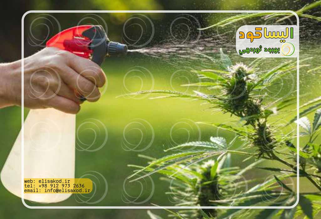 معرفی ایوکسینیل