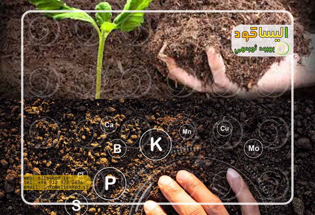 کود ارگانیک