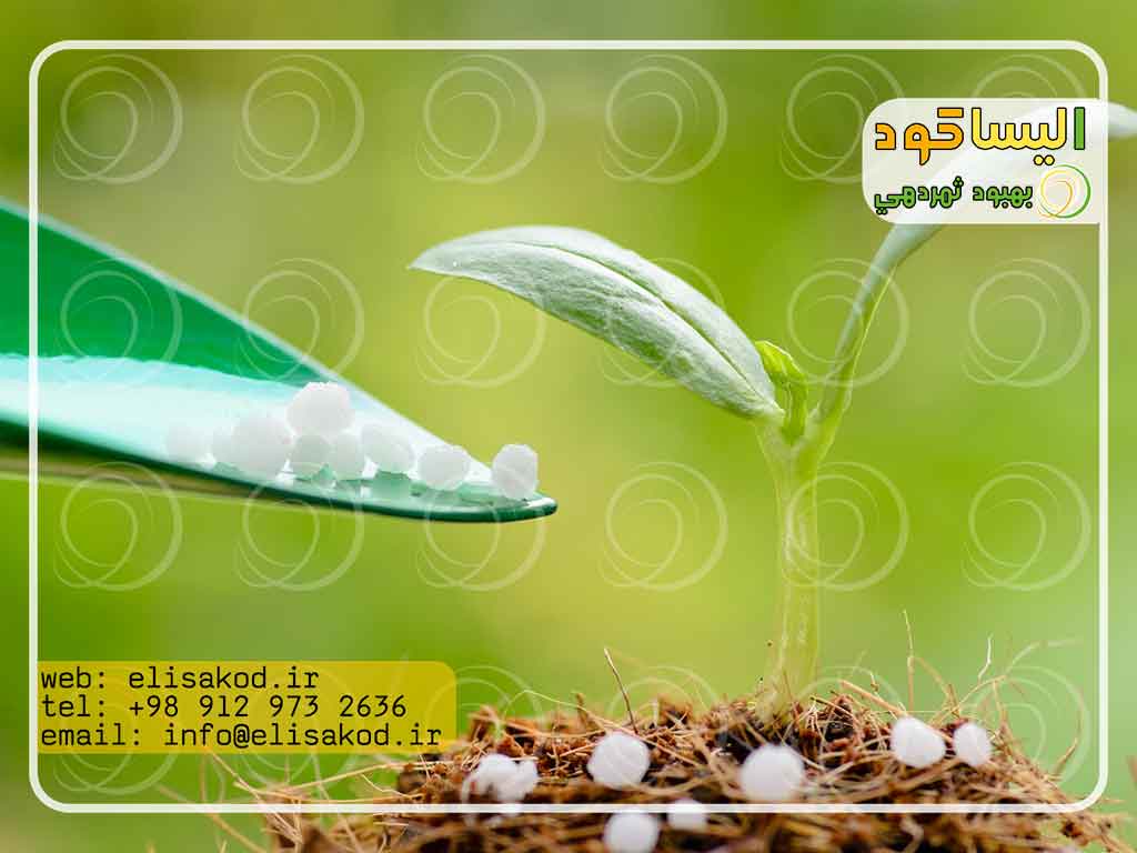 قیمت کود شیمیایی سفید ۵۰ کیلویی