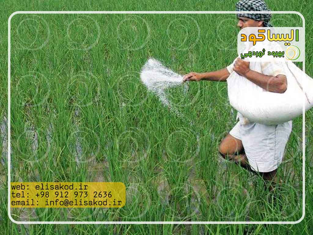 بازار کود سفید کشاورزی